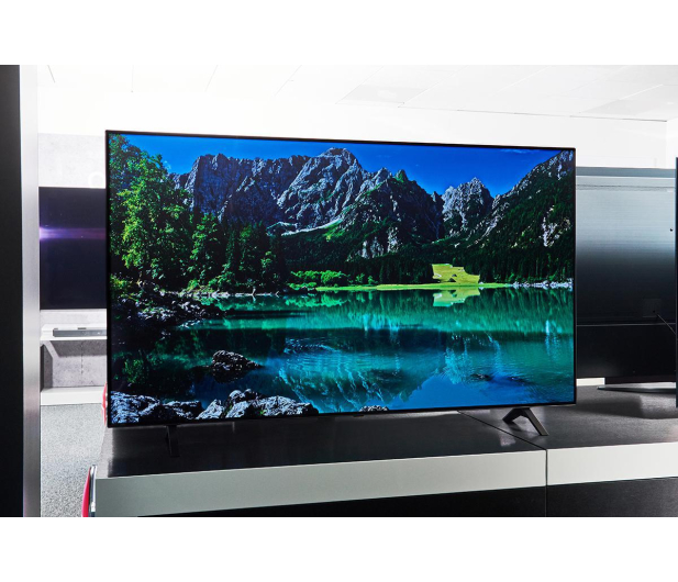 LG OLED55A13LA - 635945 - zdjęcie 13